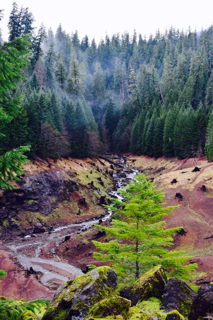 Colorful clay riverbeds and evergreens on a cloudy day