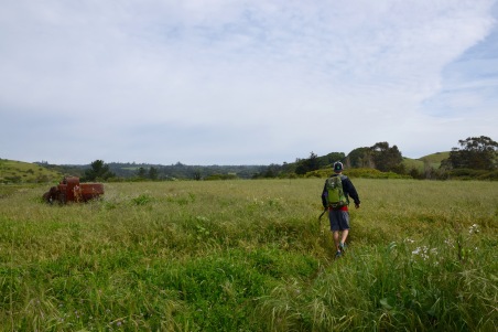 Hiking through a meadow with a Gregory backpack